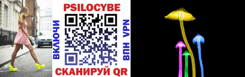 Псилоцибиновые грибы Psilocybe  Купить где  Петропавловск-Камчатский 