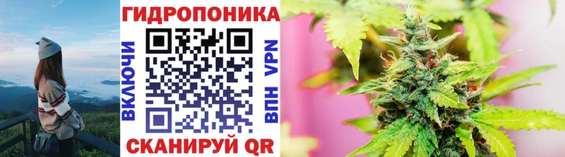 Купить закладки  Петропавловск-Камчатский  Бошки марихуана Amnesia 